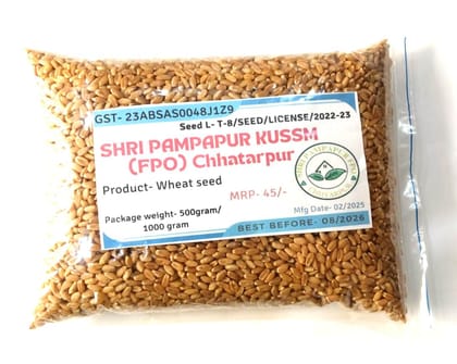 Wheat Seed Wheat Seed