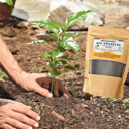 PrettyBUYERS Bio Granules for Plants | Plant food for Root Growth, High Yield, Overall Plant Development 500GM (Pack Of 1)