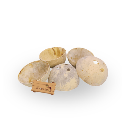 Coco Land White Holed Coconut Shell Finished Raw Craft | Decorative Pots,Craft Making | Handicraft,Agricraft