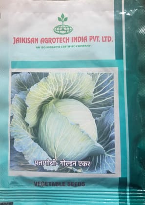 Golden Acre Cabbage Seeds