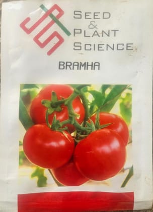 Brahma Tomato Seeds