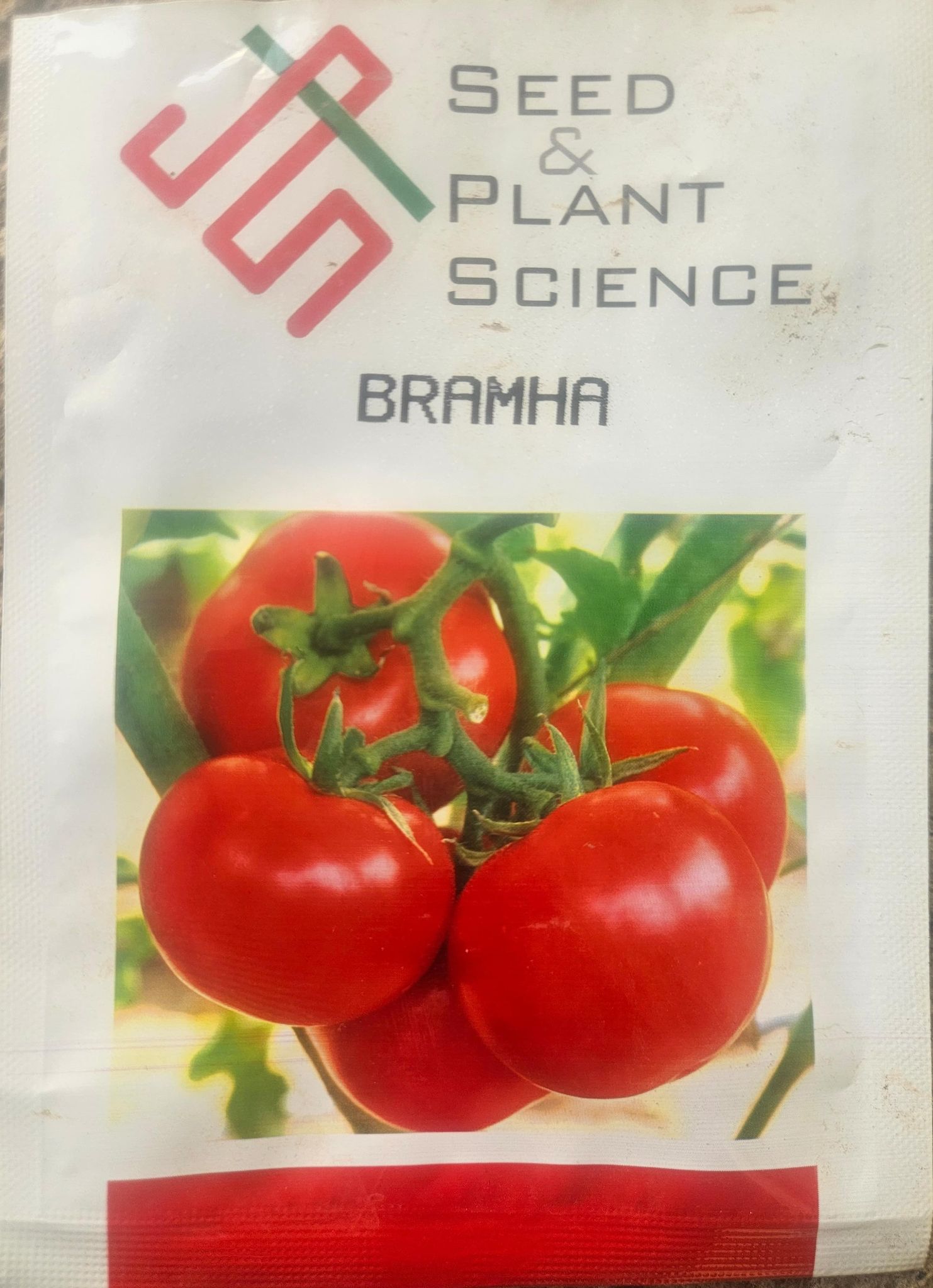 Brahma Tomato Seeds