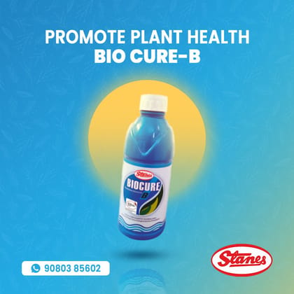 Biocure B - 1L