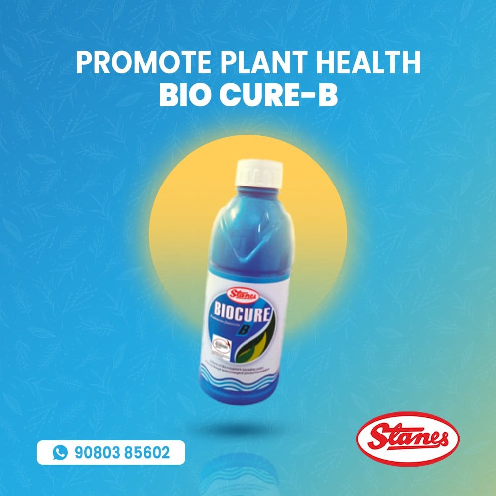 Biocure B - 1L