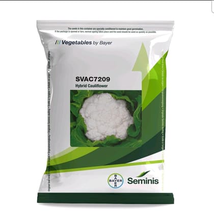 SVAC7209  Cauliflower Seed