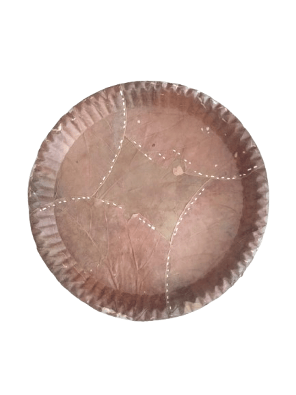Natural Areca Leaf Plates | Disposable and Biodegradable | 12 Inches | Pack of 15**