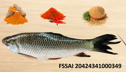 "Fresh Katla Fish (1 kg) - Cleaned & Cut, Ready to Cook" "Fresh Katla Fish (1 kg) - Cleaned & Cut, Ready to Cook"