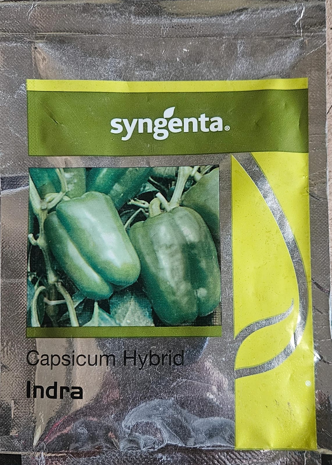 Indra Capsicum Hybrid Seed