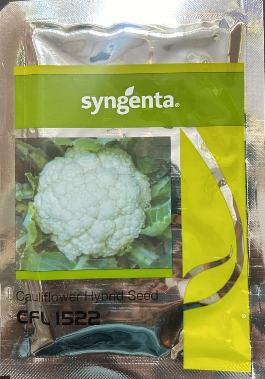 CFL 1522 Cauliflower Seed