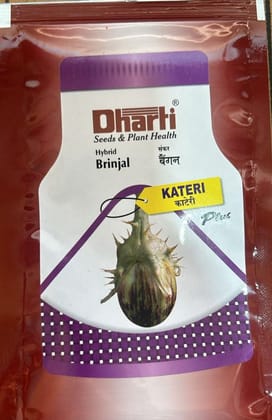 Brinjal Seed