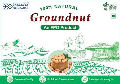 Groundnut