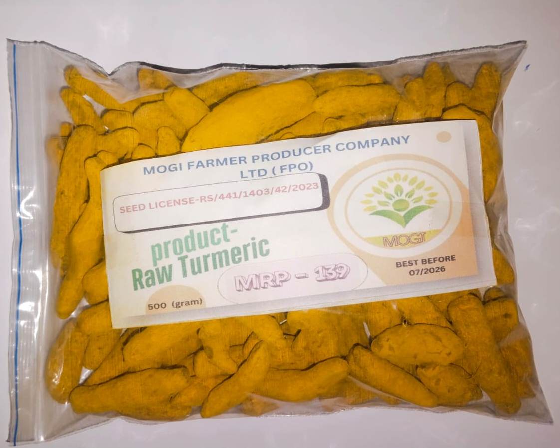 Processed Turmeric
