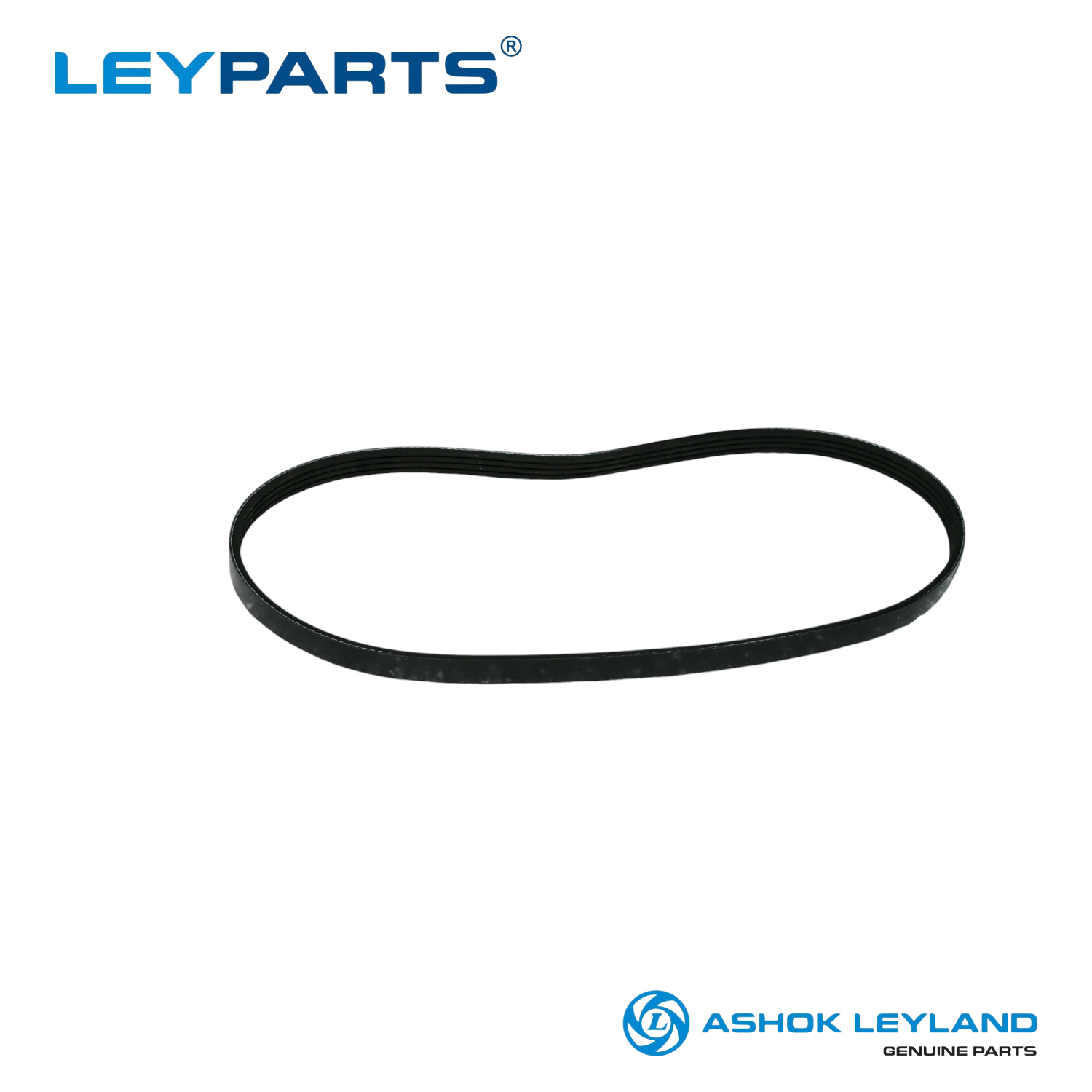 F0T00300 AUXILIARY BELT WITHOUT POWER Dost variant