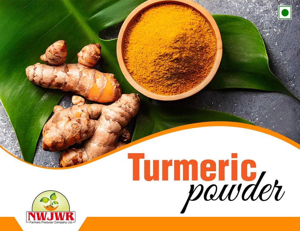 Turmeric Powder - 100gm - Per Pack