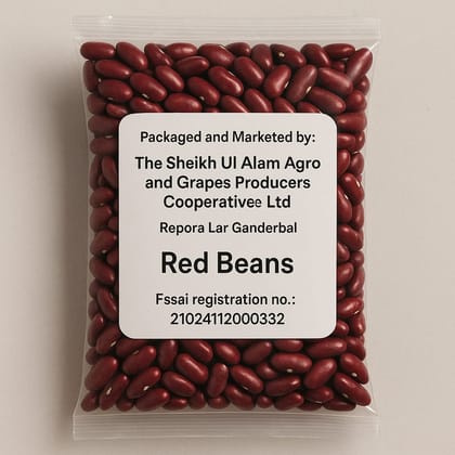 Red Beans (Rajmah)