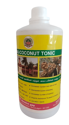 Coconut Tonic