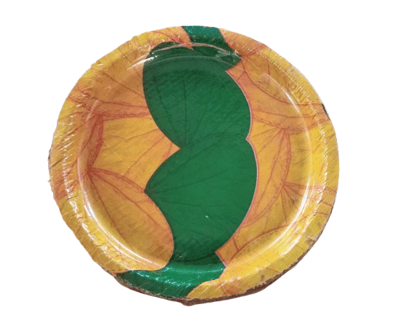 Elegant Eco-Friendly Printed Paper Plate (pack of 60)