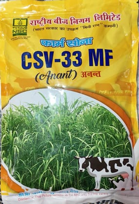 NSC Fodder Sorghum CSV-33 Variety, 1 Kg Certified Seed Bag