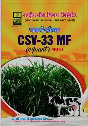NSC FODDER SORGHUM CSV-33 MF TL -1 KG