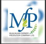 Mualnuam farmer Produer Company Limited