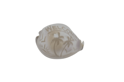 Hand-Carved 'Welcome' Seashell with Palm Tree Design
