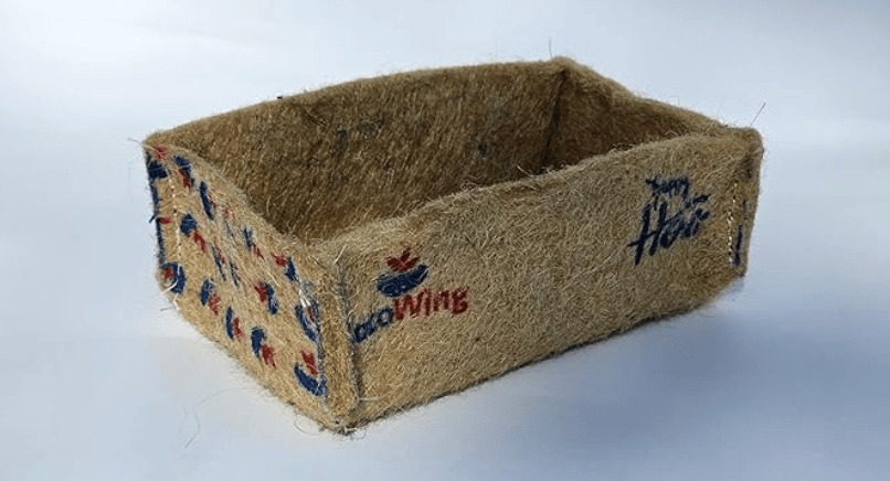 Pack of 3 | Color Your Holi Green: CocoWing's Festive Jute Grow Bag Gift Basket