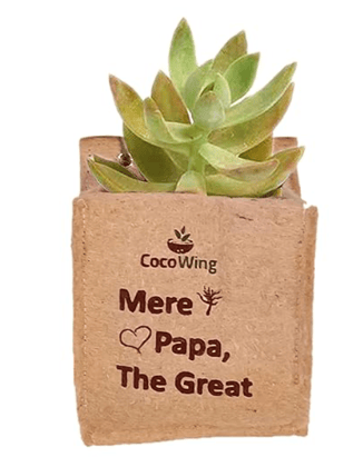 Wall Mounted Jute Grow Bag | Ecofriendly 'Mere Papa The Great' by CocoWing