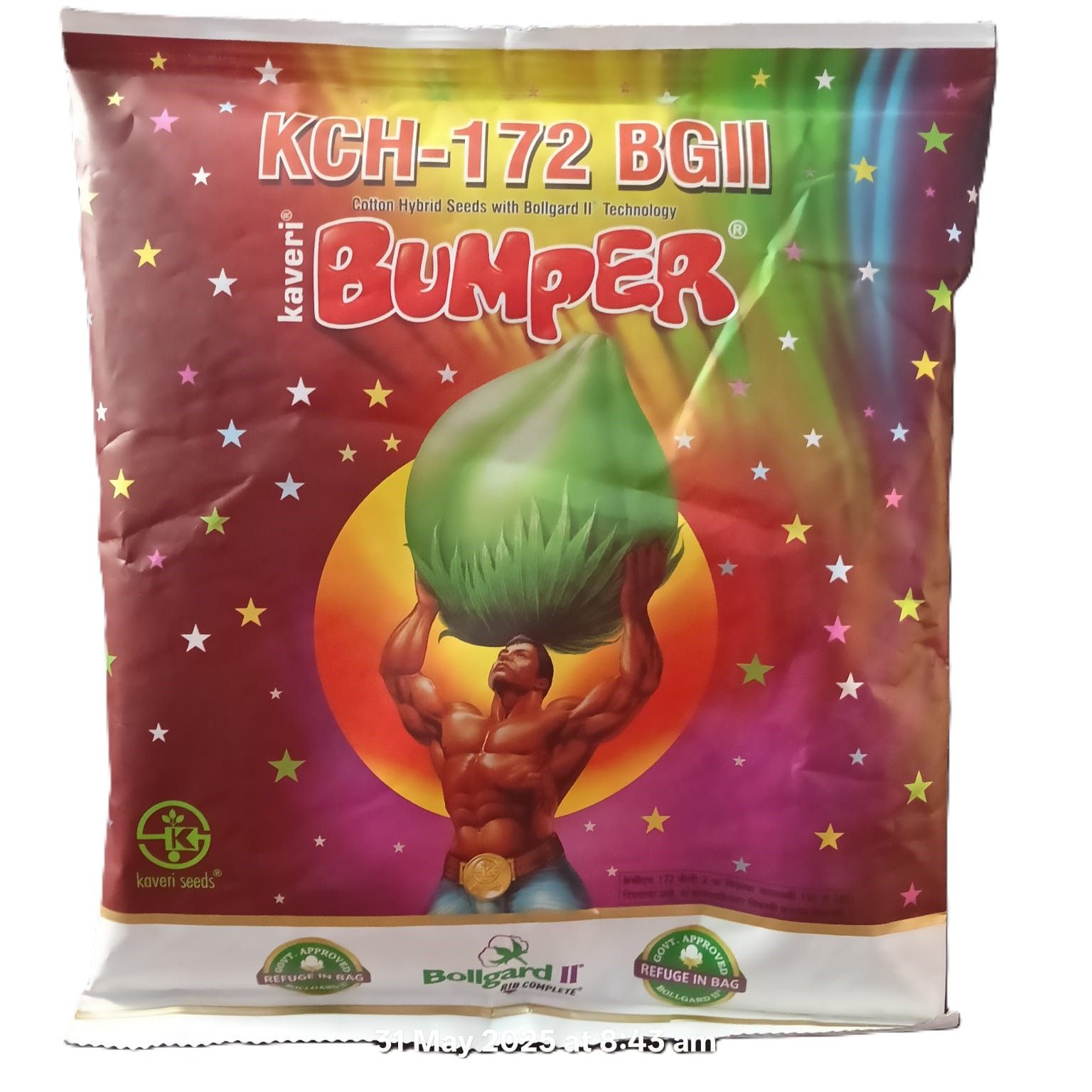 Kaveri KCH-172 BGII Bumper Cotton Hybrid Seeds