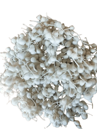 Pure Cotton Puvvu Wicks for Pooja & Rituals -25 pices