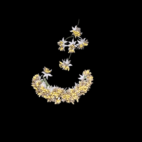 KAVALI Dried Floral Crescent with Matching Sprigs