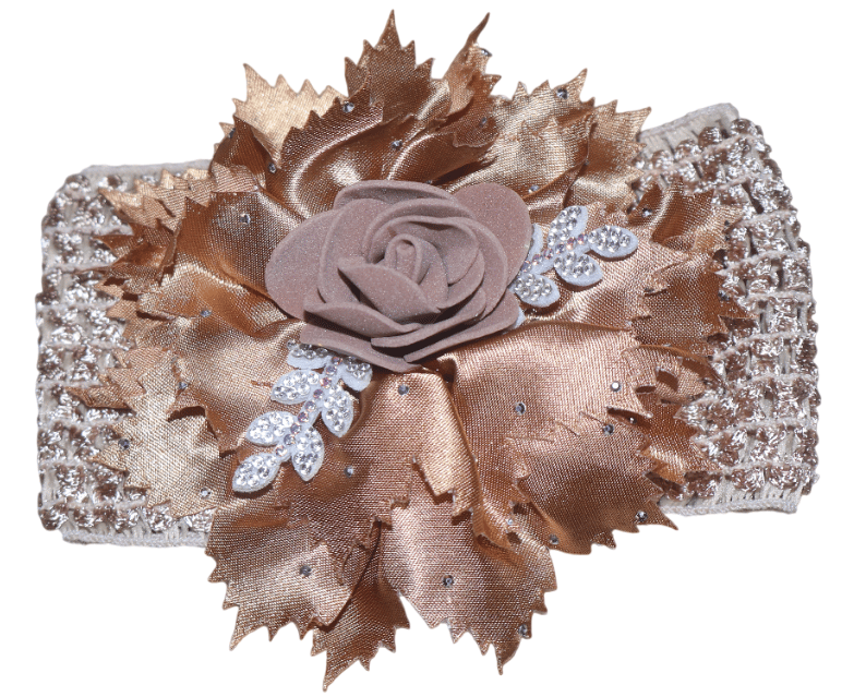 Baby Girl Headband with Rose & Leaf Embellishments