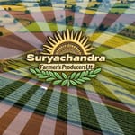 Surya Chandra FPCL