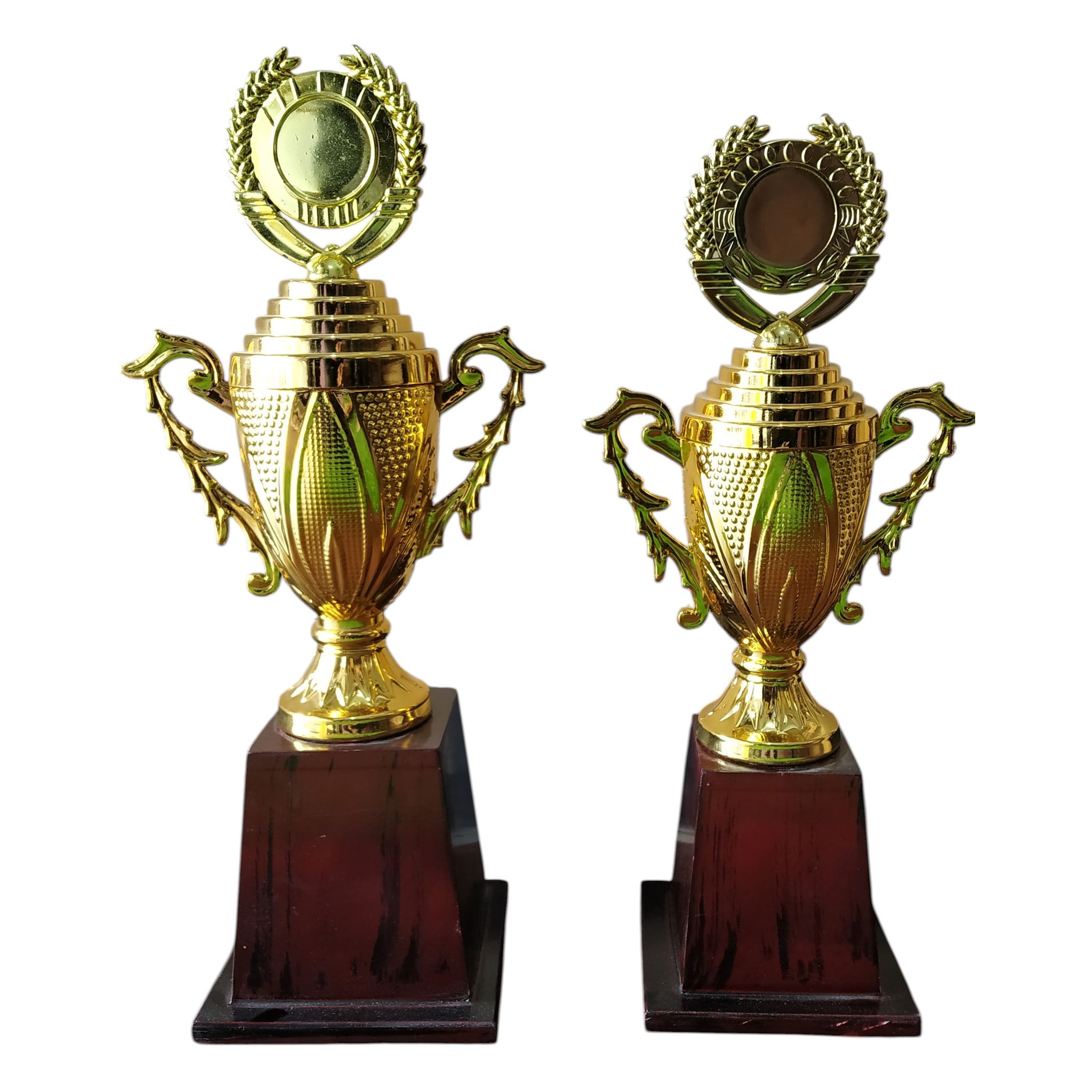 Golden Trophy Cups - Award & Recognition Trophy |Pair| Wood and Fibre