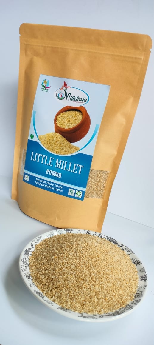 Little Millet