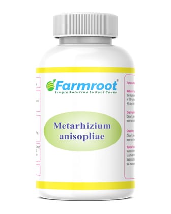 FARM METARHIZIUM  -1Ltr