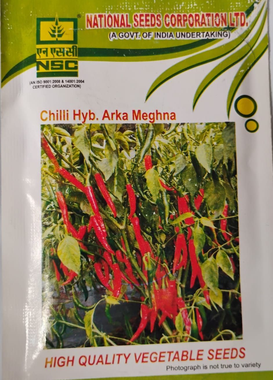 NSC Chilli Arka Meghana variety, 5 gram Truthful Labelled Seed