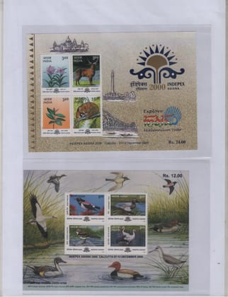 Shobhaphila's Indian Miniature Sheet Year Pack Stamps 2000 ( 3 Stamps )