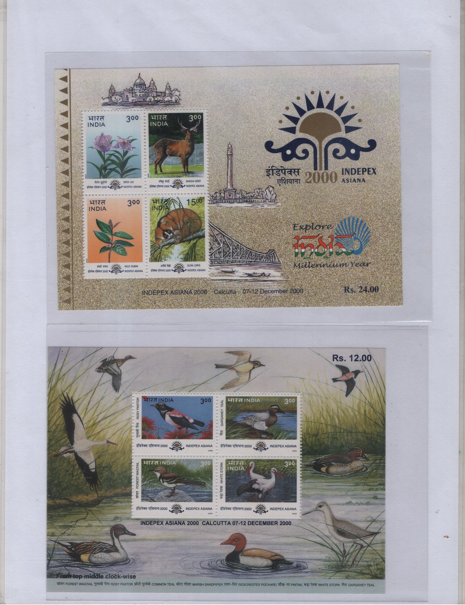 Shobhaphila's Indian Miniature Sheet Year Pack Stamps 2000 ( 3 Stamps )