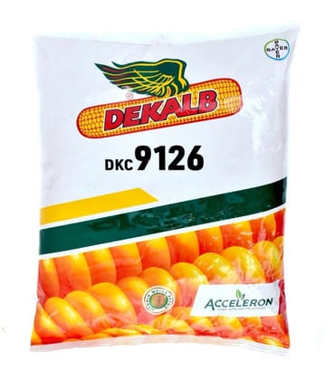 Dekalb DKC 9126 Hybrid Maize Seed Dekalb DKC 9126 Hybrid Maize Seed