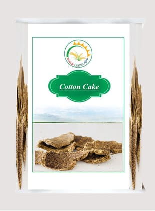 Cotton Seed Cake