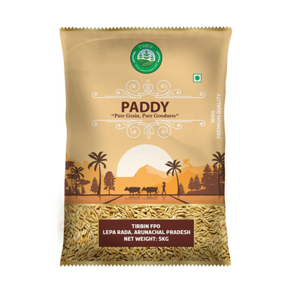 Paddy
