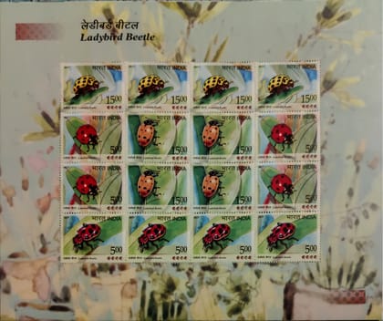 Shobhaphila's Indian Ladybird Beetle Sheetlet Stamp ( 23rd Feb 2017)