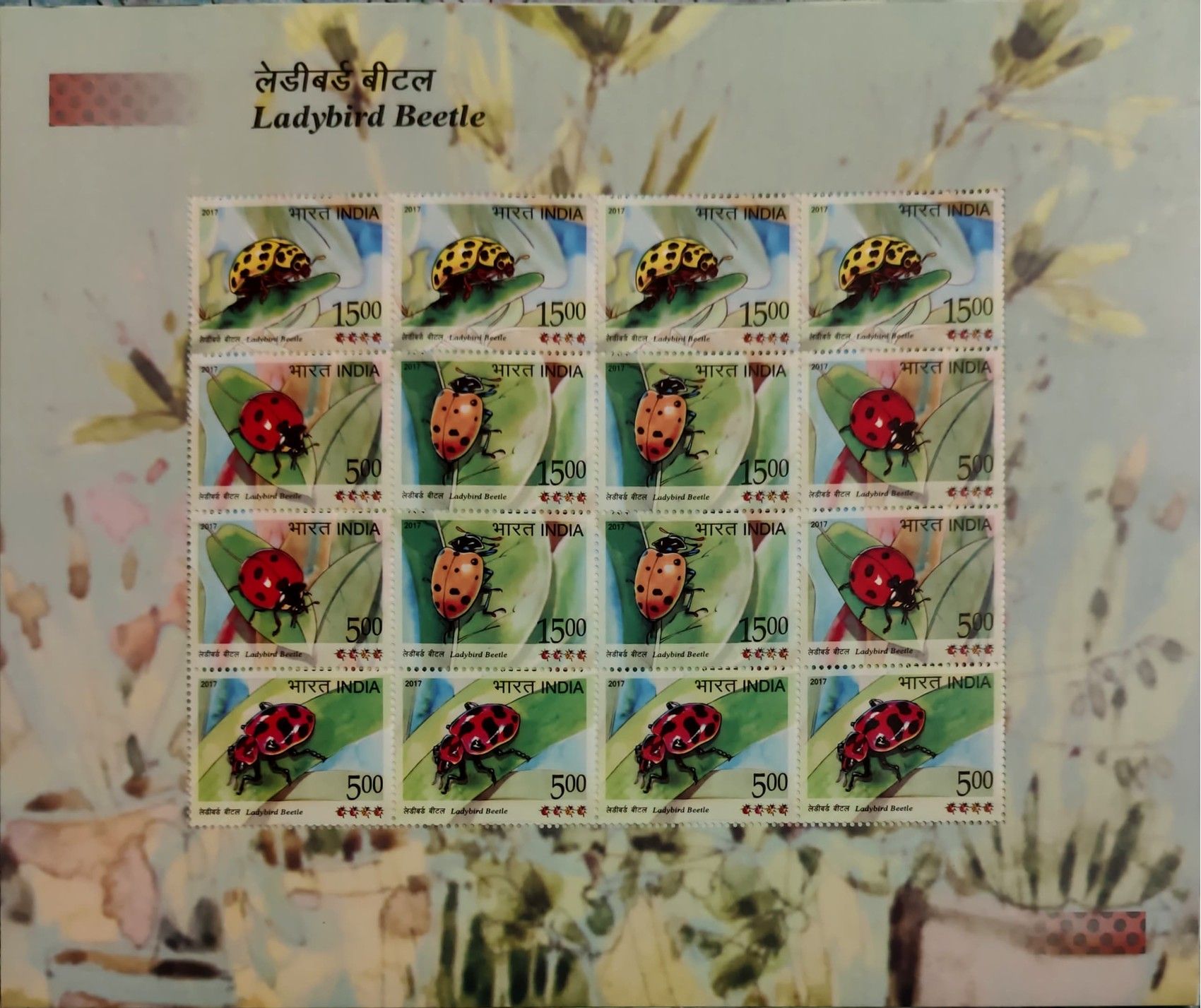Shobhaphila's Indian Ladybird Beetle Sheetlet Stamp ( 23rd Feb 2017)