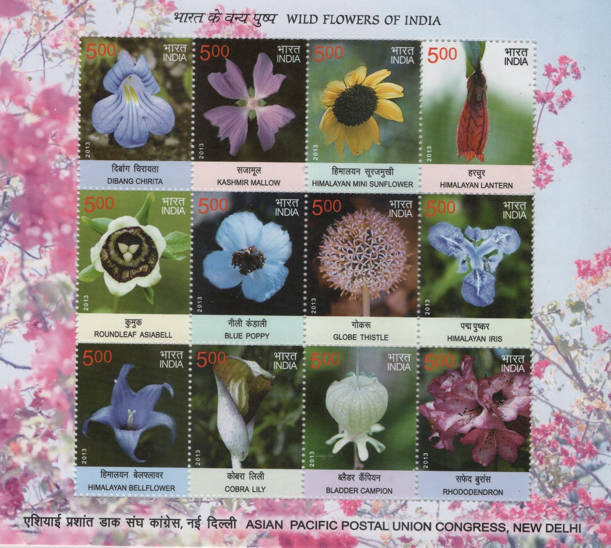 Shobhaphila's Indian Wild Flowers Sheetlet Stamps ( 3rd Sept 2013)