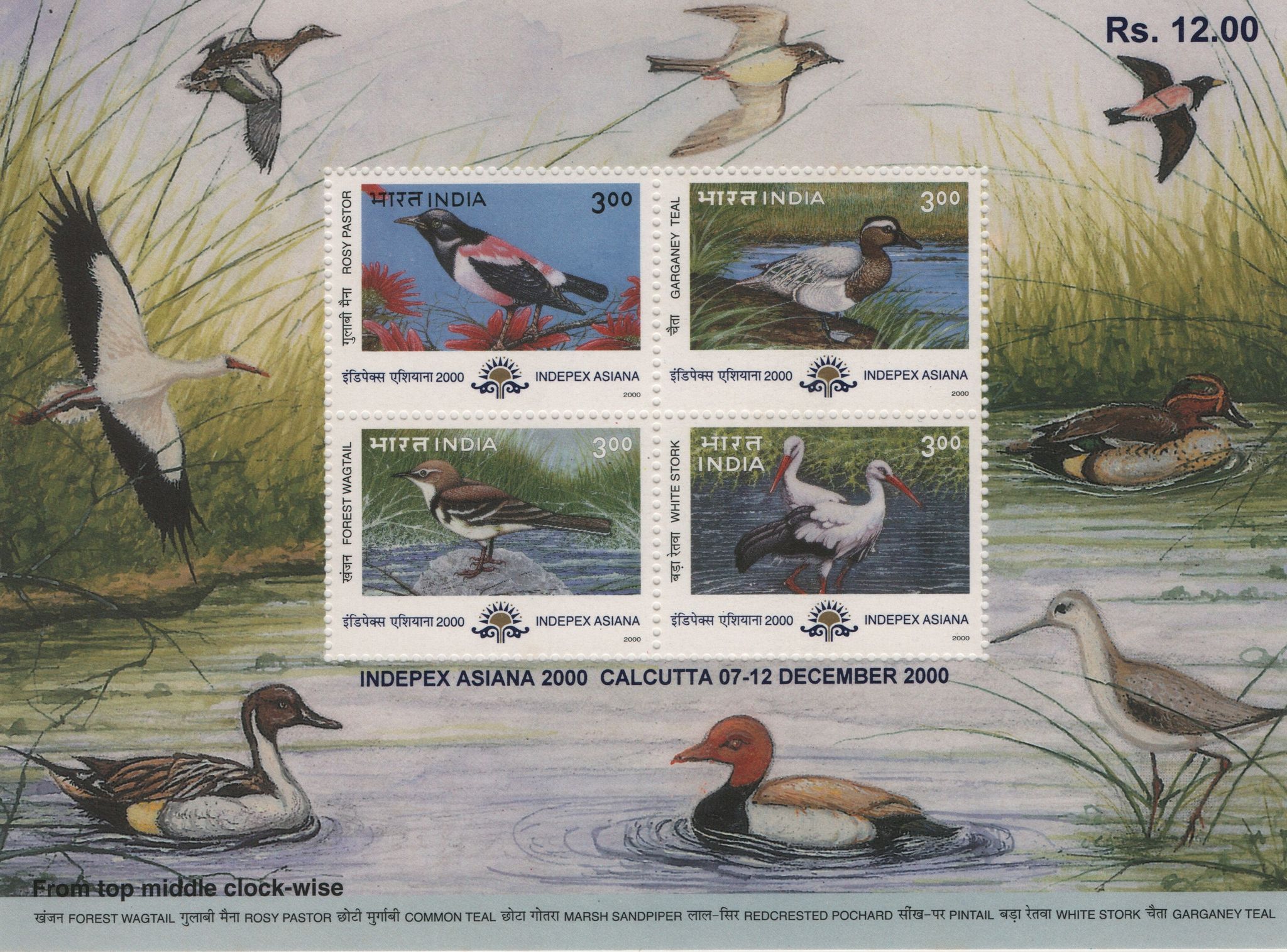 Shobhaphila's 2000 Migratory Birds Indepex Asiana Indian Miniature Sheet ( 24th May 2000)