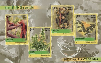 Shobhaphila's 2003 Medicinal Plants - Indian Miniature Sheet Stamp ( 7th Apr 2003)