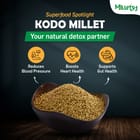 ... ...