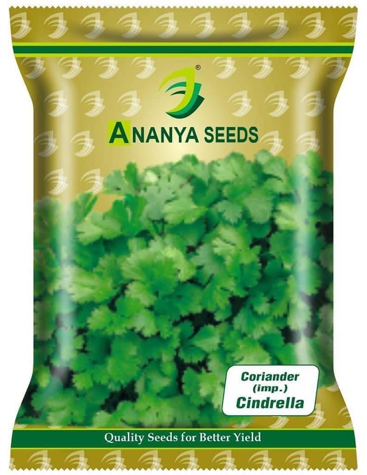 Coriander (imp.) - Cindrella 