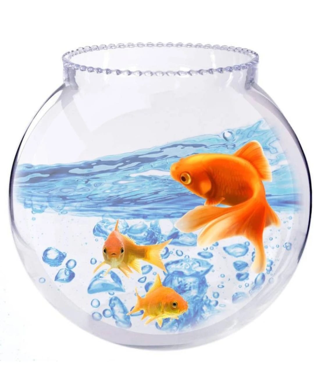   Aquarium Freshwater Fish Glass