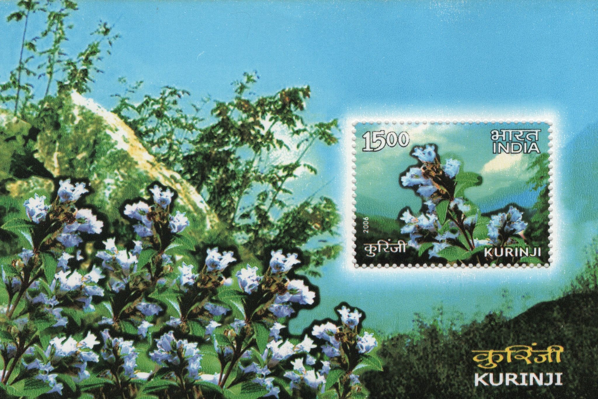 Shobhaphila's 2006 Kurinji Flower Indian Miniature Sheet Stamp ( 29th May 2006)